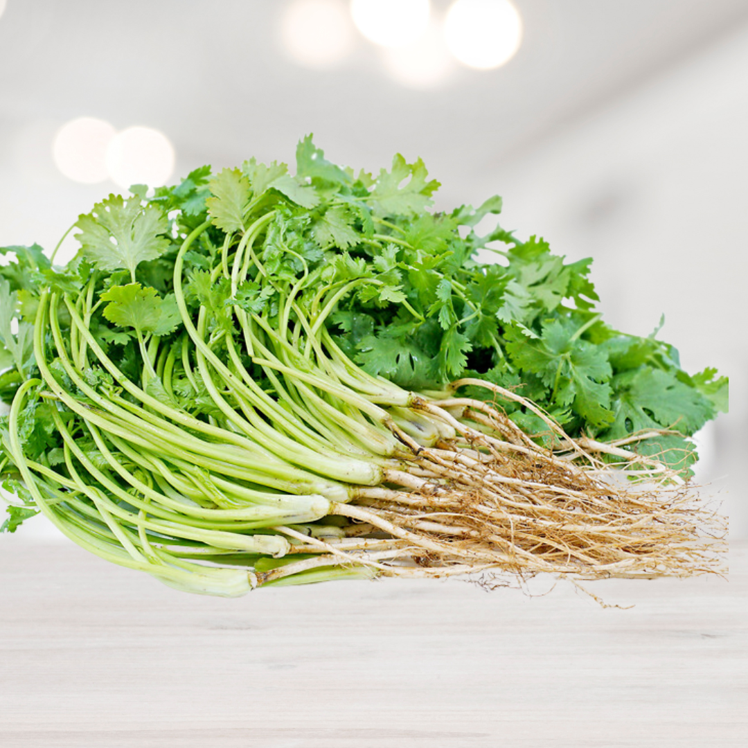 Coriander with Roots